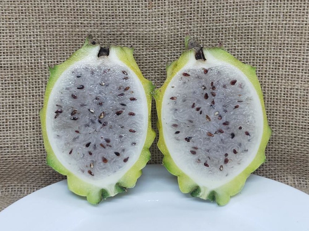 Palora dragon fruit halved